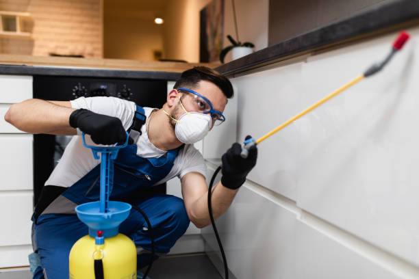 Flea Control Services in Sisters, OR