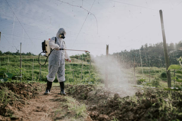 Best Pest Control Treatment  in Sisters, OR
