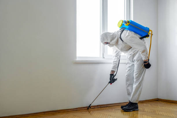 Insect Control in Sisters, OR