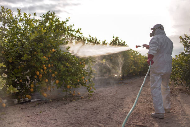 Best Bed Bug Extermination  in Sisters, OR