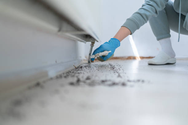 Best Commercial Pest Control Services  in Sisters, OR