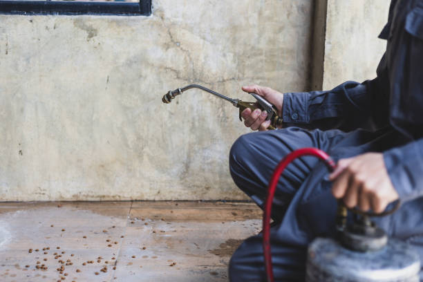 Best Pest Inspection Near Me  in Sisters, OR